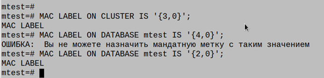 44екцы2.png
